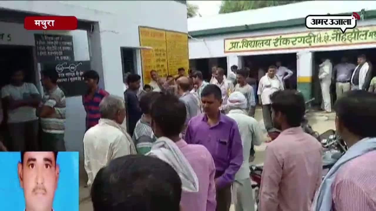 मथुरा, शिक्षामित्र 