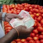 TOMATOES