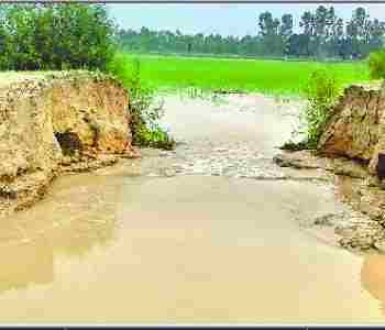 Minor cut, 700 bigha crop submerged