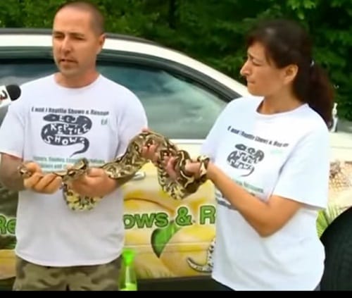 Women attacked by 1.7m sanke boa constrictor resued   at Sheffield Lake at Ohio in USA