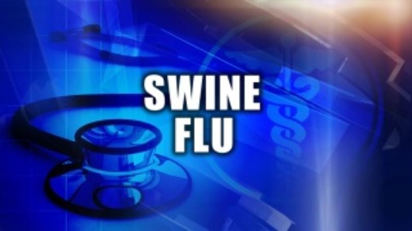 In the city of Panic, new cases of swine flu have emerged
