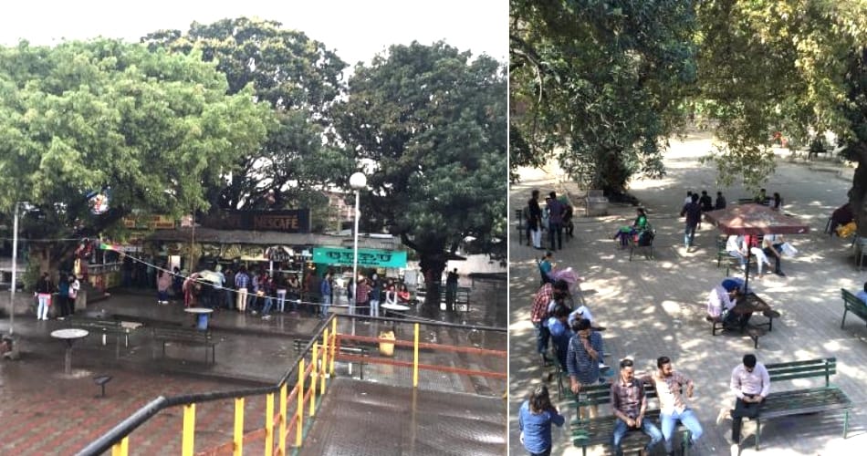 Tea became more expansive at Punjab university student center