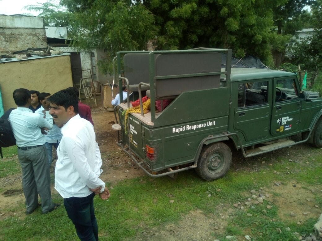 three injured in panther attack near ranthambore national park