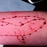 Russia wants help in controlling Blue Whale Game Challenge