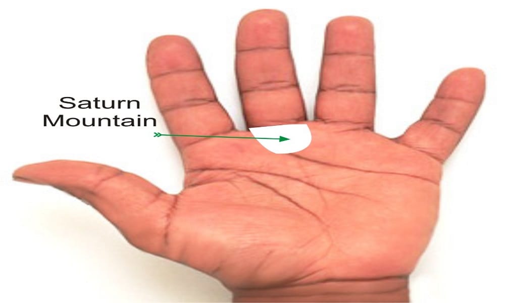 according to palmistry know your career success in service or business