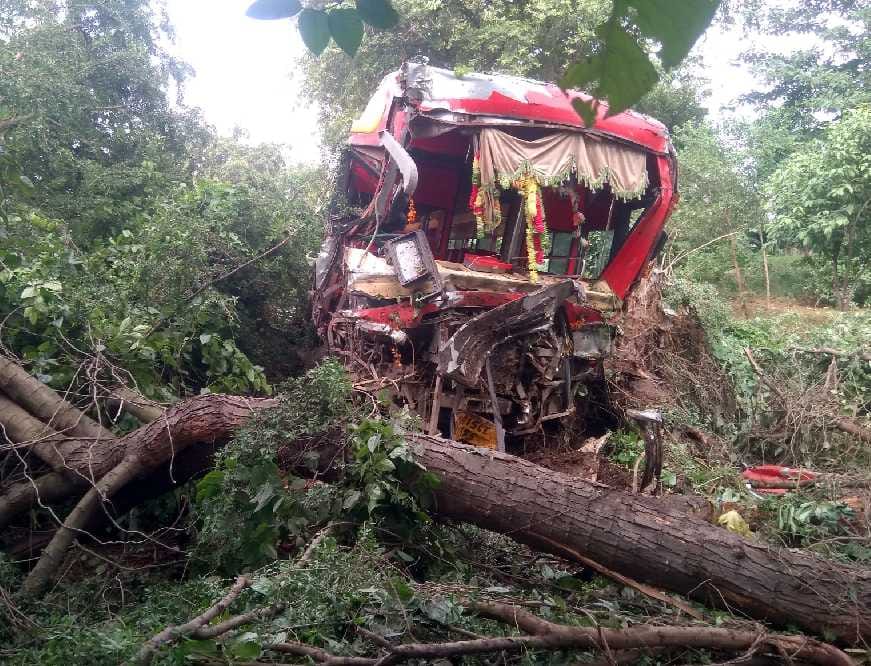 Bus collides with trees, injures 23