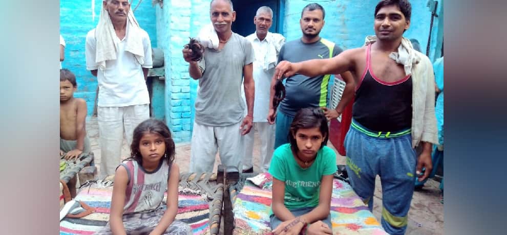 more than 22 cases of hair chopping in Haryana