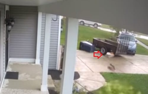 Watch how tornado lifts heavy SUV in air in New York 