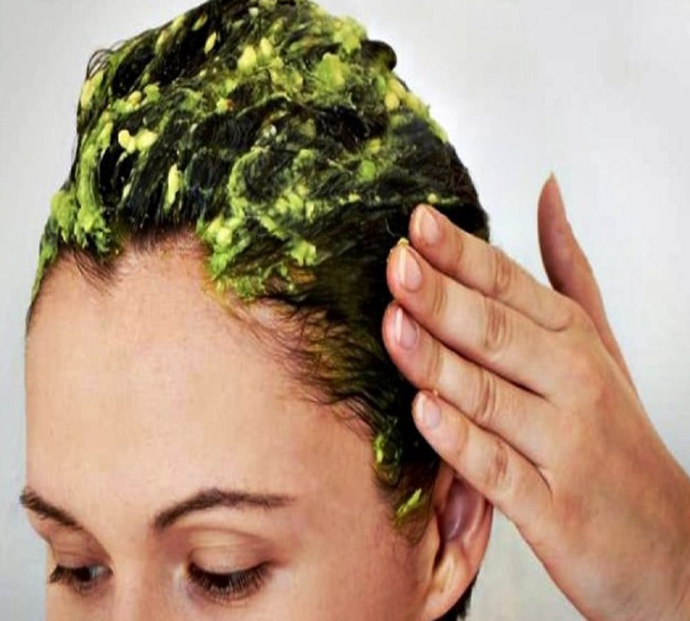 Curry Patta will solve your dandruff issue of your hair 