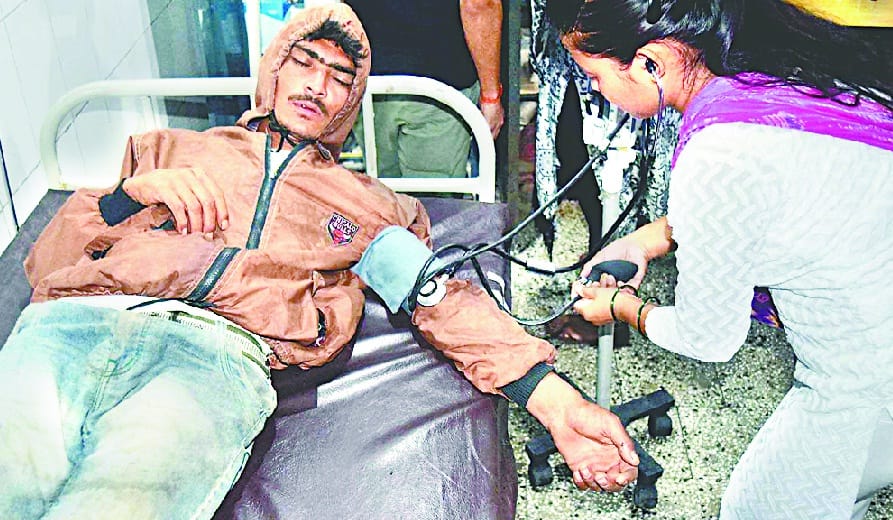 A laborer dies after eating poisonous mushrooms, six ill