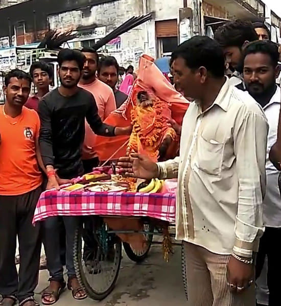 Know why, the monkey's funeral done by Vedic tradition