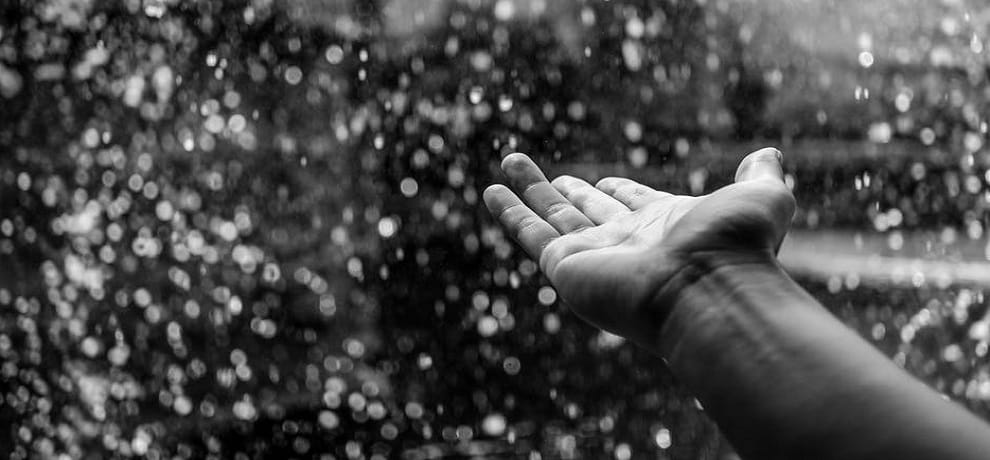 rain in haryana and punjab