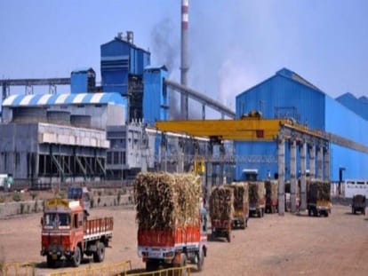sugar price to cross 50 rupees per kg as government soon to impose cess