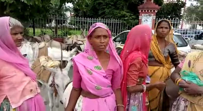 hundreds of donkeys entered into udaipur collectorate premises with their owners 