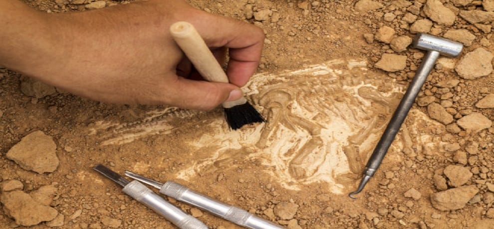 900 year old human remains discovered in Ohio