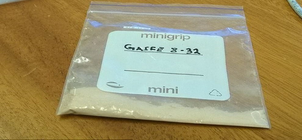 Scientists create food from electricity and Carbon dioxide