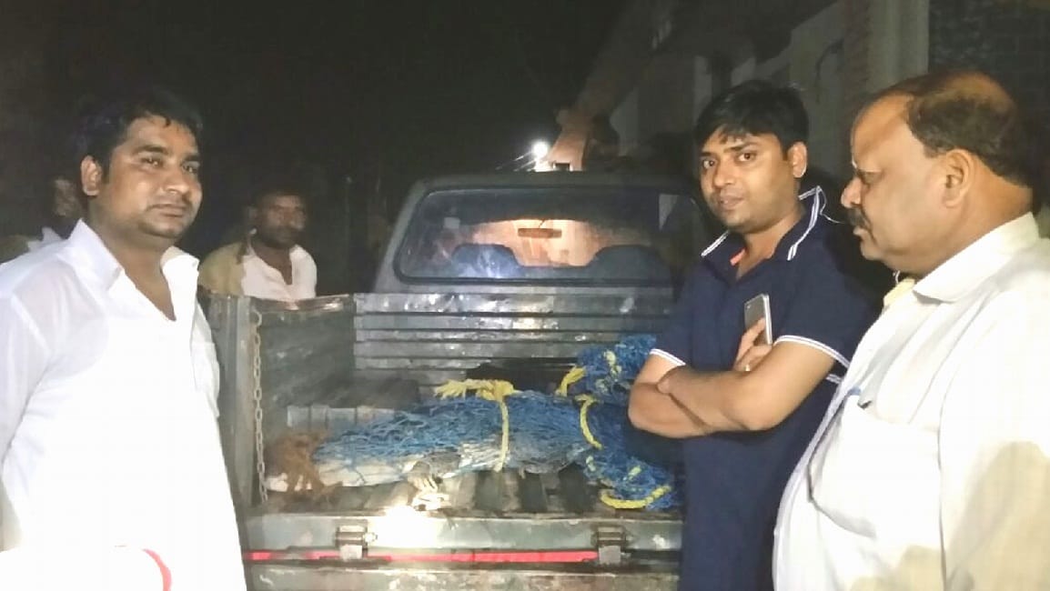 crocodile found in home at laksar haridwar