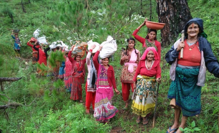 Five hundred plants seedlings in the forest of Durgadiya and oats