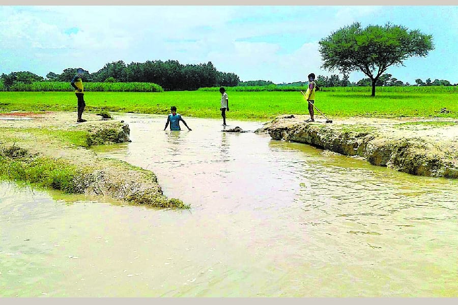 flood in districts in awadh in Uttar Pradesh.