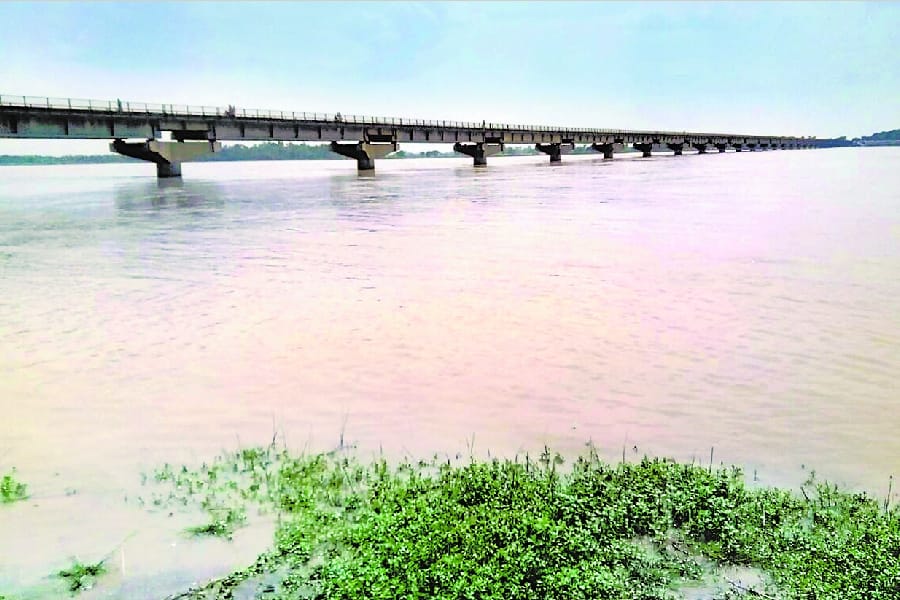 pics of flood in districts of Uttar Pradesh.