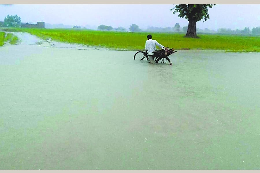  River up to one meter above the danger mark