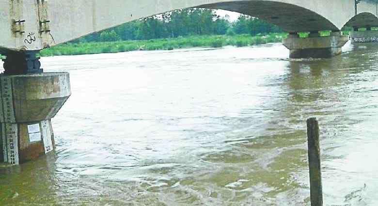 Yamuna flowing above danger mark