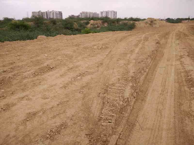 tree cut in agra on the name of gangajal pipeline