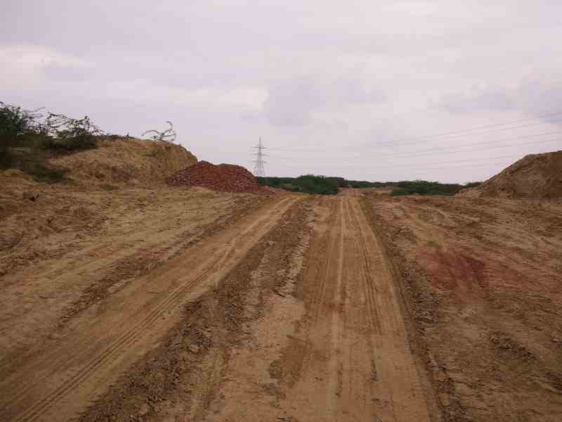 tree cut in agra on the name of gangajal pipeline