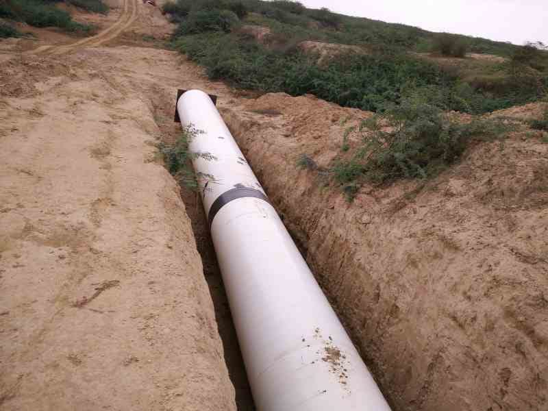 tree cut in agra on the name of gangajal pipeline