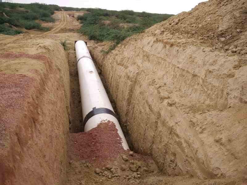 tree cut in agra on the name of gangajal pipeline