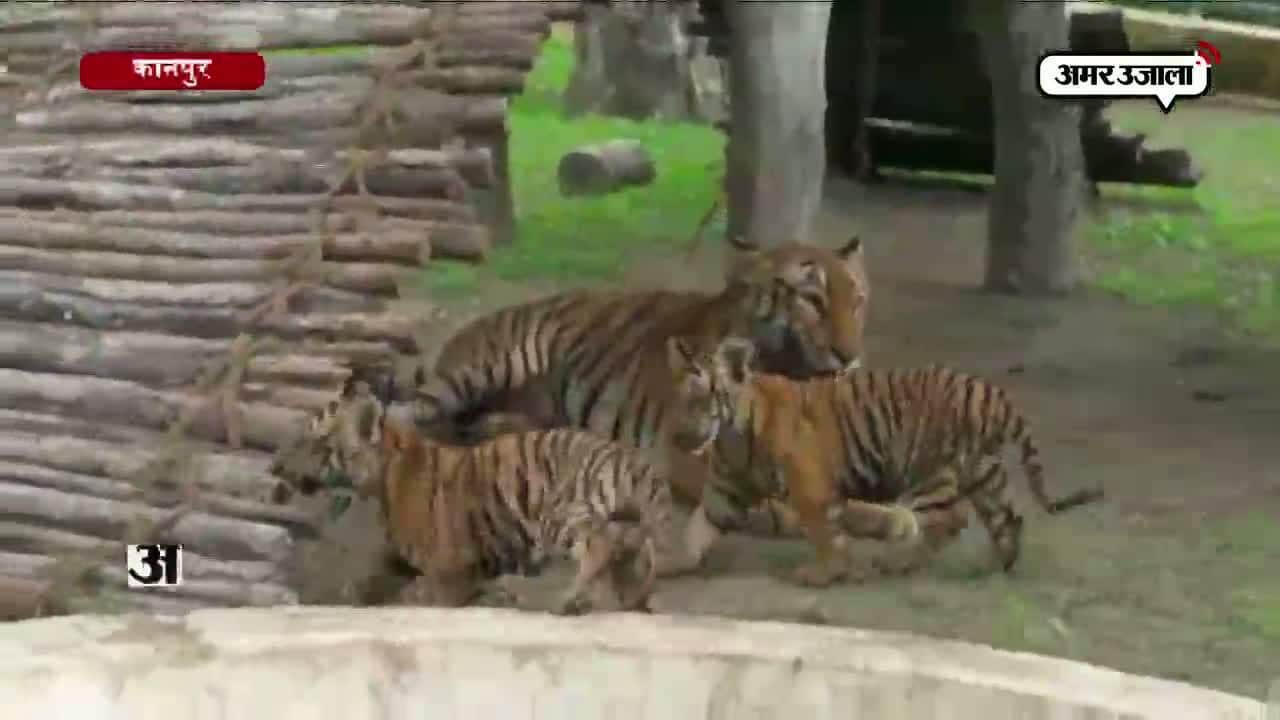 कानपुर चिड़ियाघर