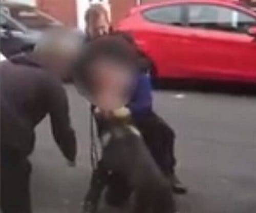 Watch In Bizarre Video How Absconding Man Bites Dog In United Kingdom 