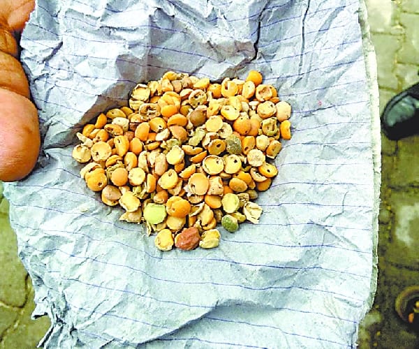 worms found in mid day meal in gonda