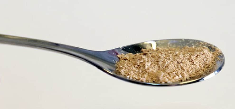 Scientists create food from electricity and Carbon dioxide