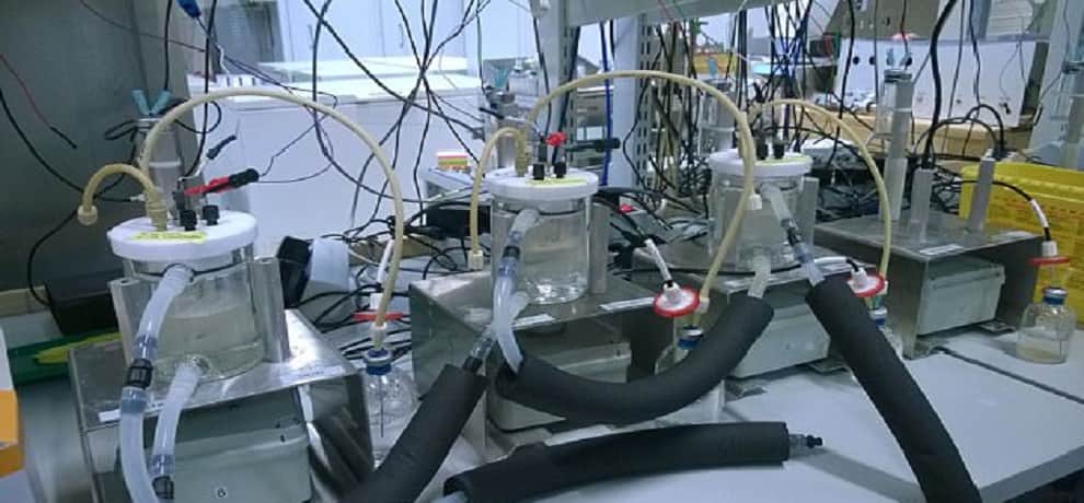 Scientists create food from electricity and Carbon dioxide