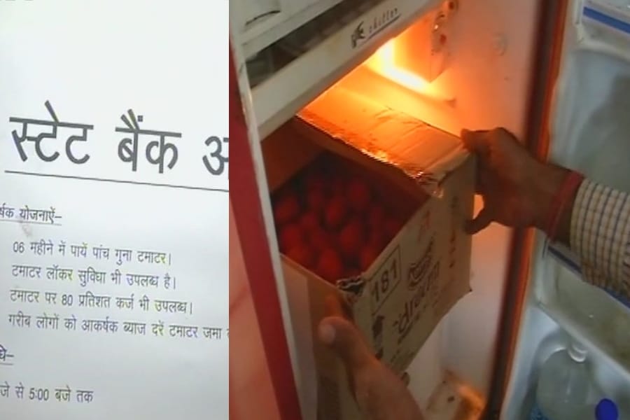 youth congress opens state bank of tamatar in Lucknow.