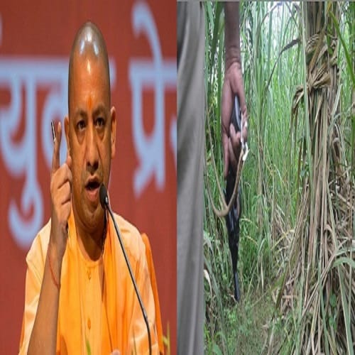 Brave officer of the Yogi police, over 100 Encounters... suffers from bad guys just by their name
