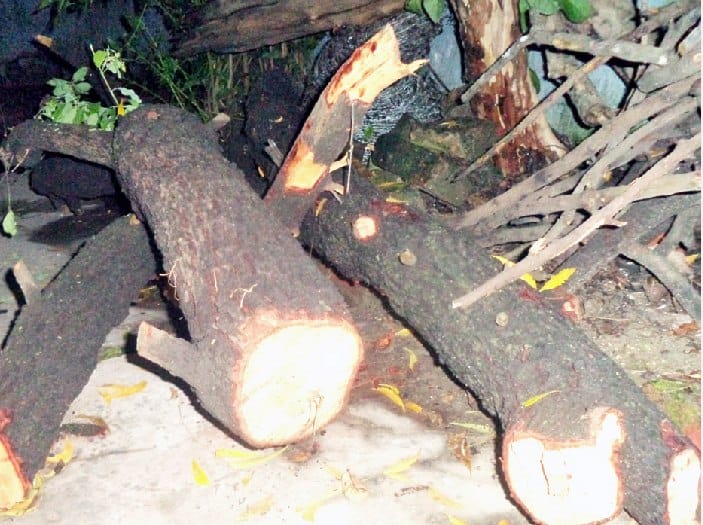 Chandan's fingers recovered from the range office