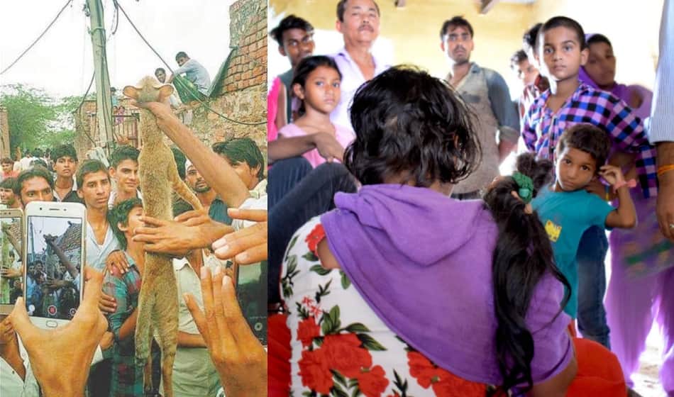 Hair thieves striking fear in Haryana, Delhi