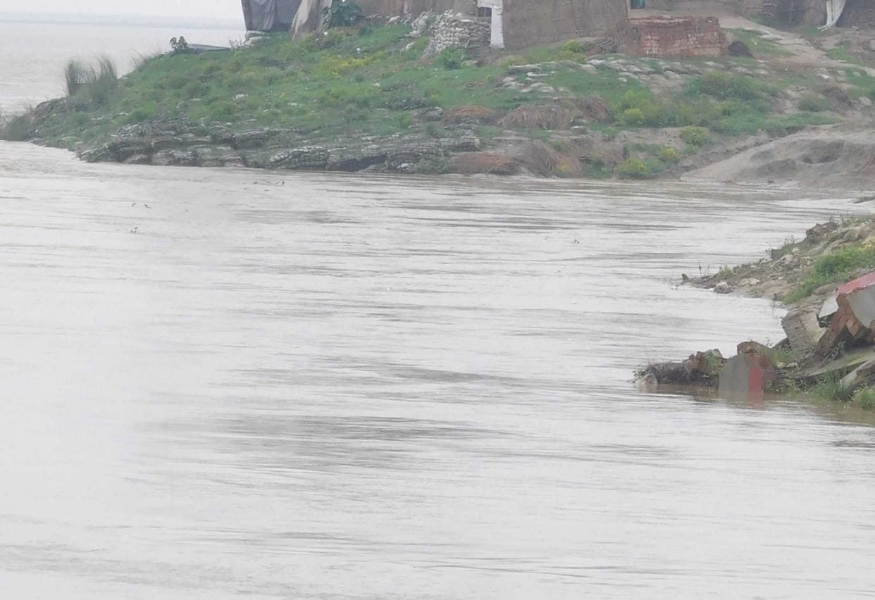 Ganga on the boom, but the waistline is stable