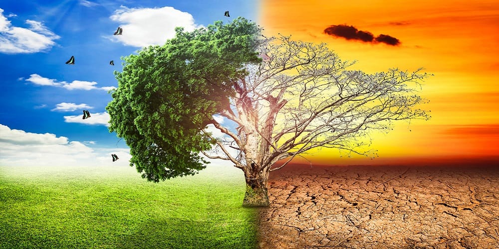 Due to climate change india has suffered the biggest loss in the world