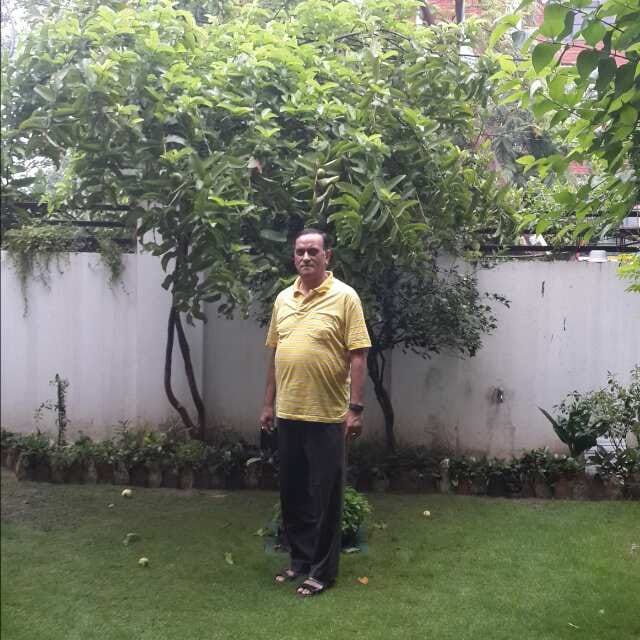 news headlines from uttar pradesh