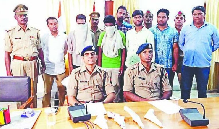 Two more friends arrested