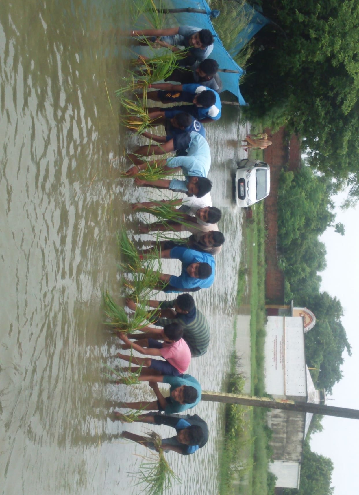 Ropa paddy in the water on the road