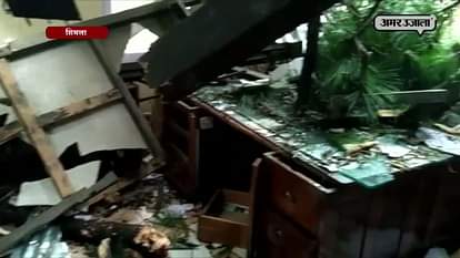 A VERY BIG TREE DROPPED ON A THREE-STOREY BUILDING IN SHIMLA