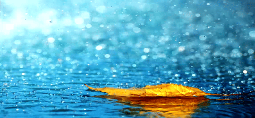 weather can change on Holi in Uttarakhand