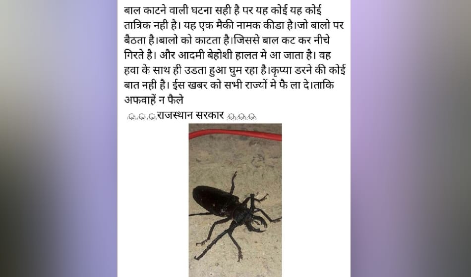 greater noida police says that an insect is cutting women hair braid, here is all about it