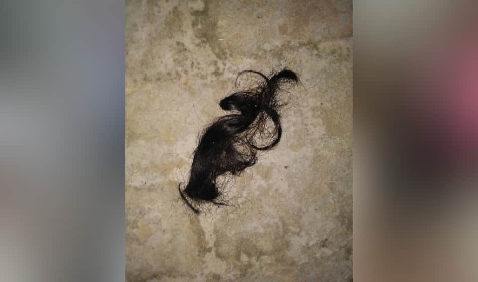 supernatural powers behind braids chopping, tarksheel society announces prize