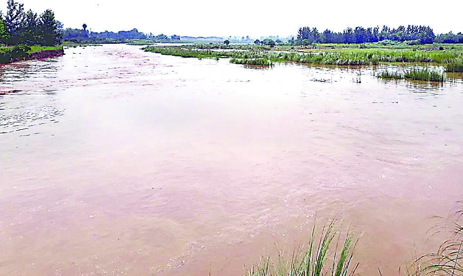 Furious with leaving water from Kosi