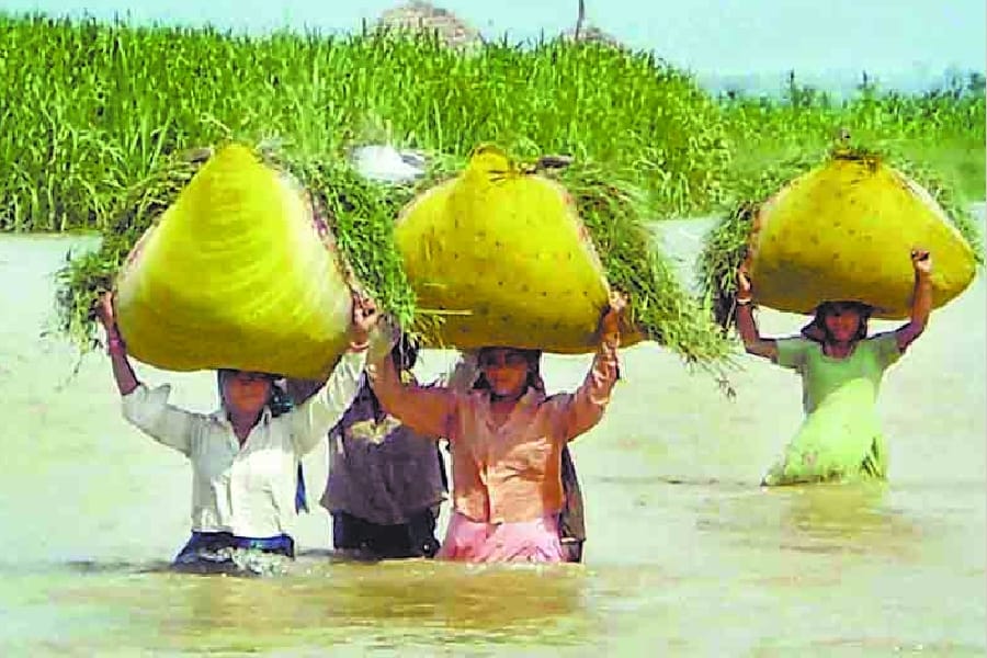 children cross flood water to reach school.